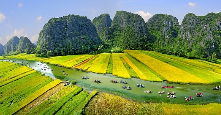 tam coc 2
