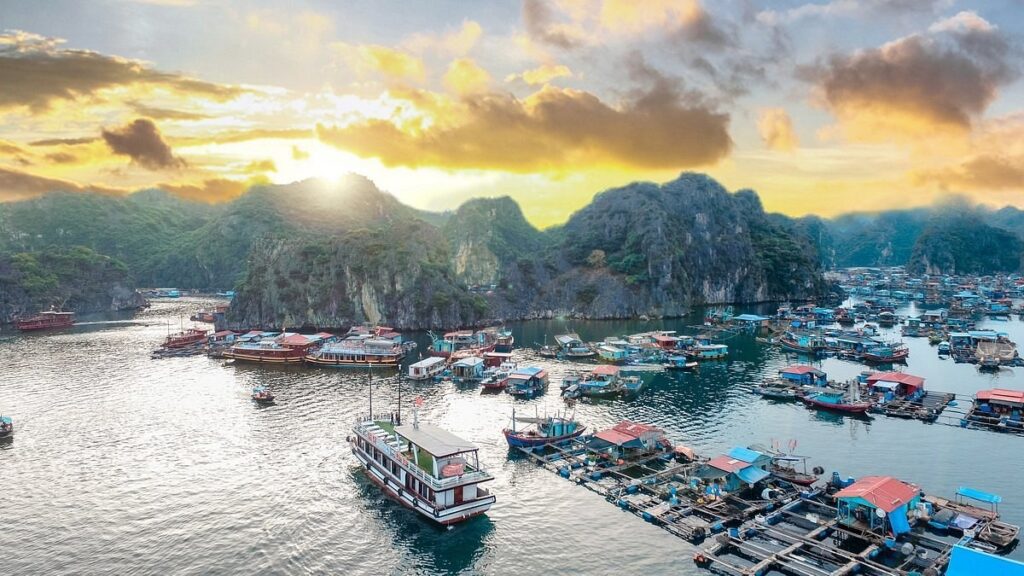 Đi du lịch Cát Bà cùng Thế Sinh Tourist