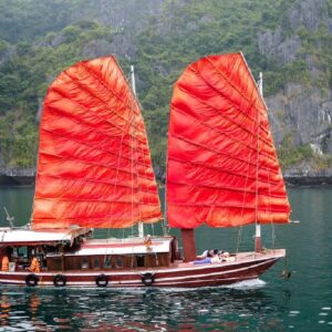tour du lich cat ba du lich the sinh tourist the sinh tourism sinhcafe travel 010 20240510 142151