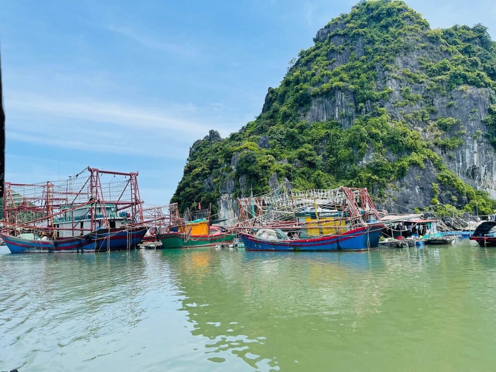 tour du lich cat ba du lich the sinh tourist the sinh tourism sinhcafe travel 015 20240510 142151