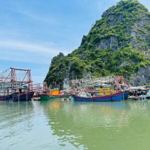 tour du lich cat ba du lich the sinh tourist the sinh tourism sinhcafe travel 015 20240510 142151