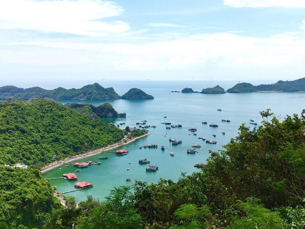 Hạ Long Cát Bà 3 Ngày 2 Đêm: Trọn Vẹn Vẻ Đẹp Vịnh Biển Bắc Bộ 3 Đặt tour Hạ Long Cát Bà 3 ngày 2 đêm tại Thế Sinh