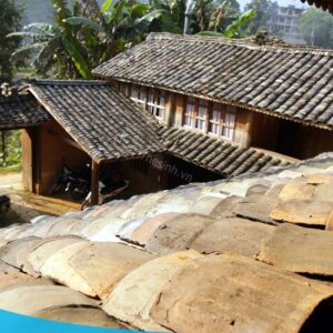 tour du lich ha giang du lich the sinh tourist the sinh tourism sinhcafe travel 005 20240510 223707