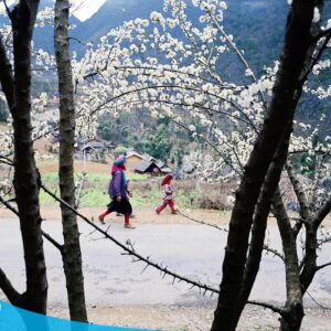 tour du lich ha giang du lich the sinh tourist the sinh tourism sinhcafe travel 028 20240510 223709
