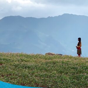 tour du lich ha giang du lich the sinh tourist the sinh tourism sinhcafe travel 029 20240510 223709