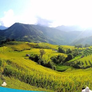 tour du lich ha giang du lich the sinh tourist the sinh tourism sinhcafe travel 042 20240510 223710
