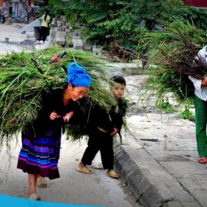tour du lich ha giang du lich the sinh tourist the sinh tourism sinhcafe travel 052 20240510 223710