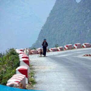 tour du lich ha giang du lich the sinh tourist the sinh tourism sinhcafe travel 054 20240510 223711