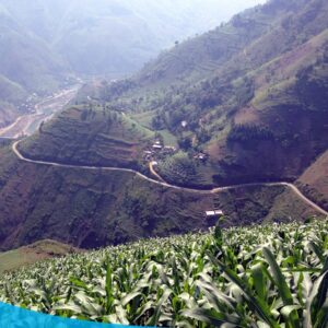 tour du lich ha giang du lich the sinh tourist the sinh tourism sinhcafe travel 055 20240510 223711