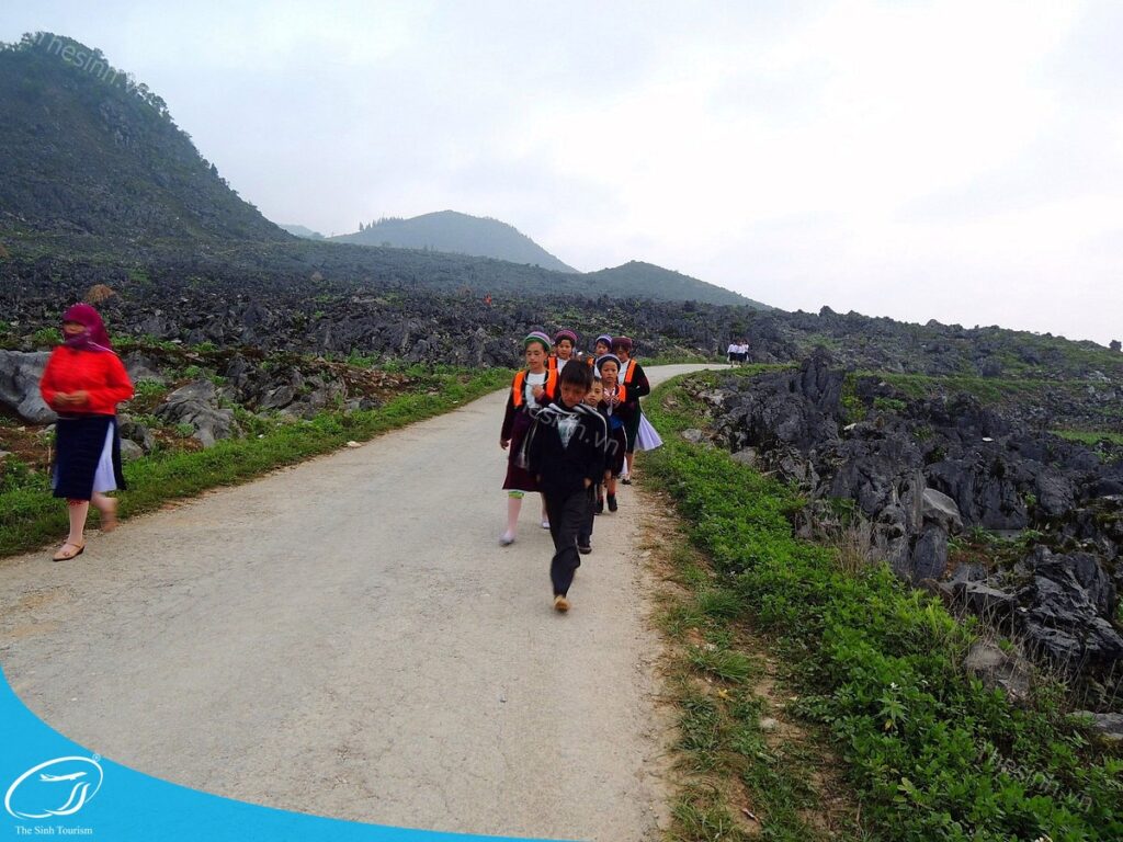 tour du lich ha giang du lich the sinh tourist the sinh tourism sinhcafe travel 057 20240510 223711