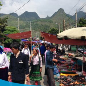 tour du lich ha giang du lich the sinh tourist the sinh tourism sinhcafe travel 105 20240510 223714