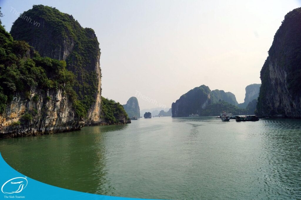 Du Thuyền 1 Ngày Hạ Long - Trải Nghiệm Sang Trọng Giữa Lòng Vịnh Biển 18 Du lịch du thuyền 1 ngày Hạ Long cùng Thế Sinh