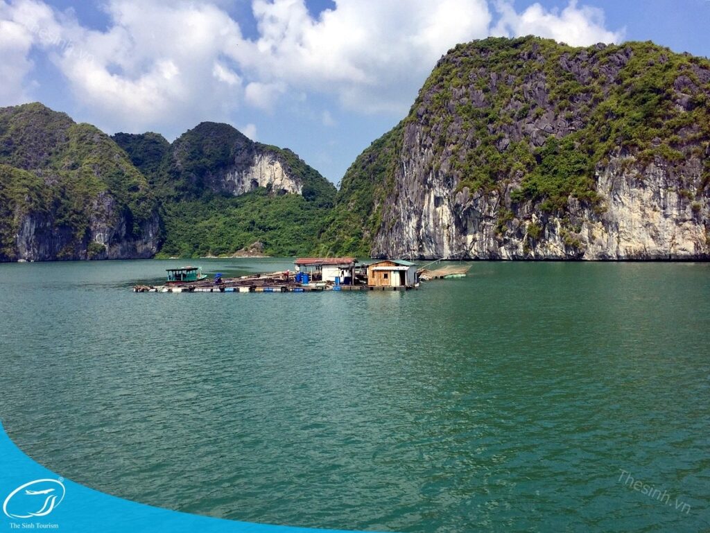 tour du lich ha long du lich the sinh 010 20240510 134634