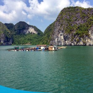 tour du lich ha long du lich the sinh 010 20240510 134634