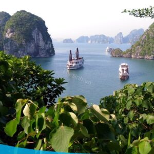 tour du lich ha long du lich the sinh 011 20240510 134634