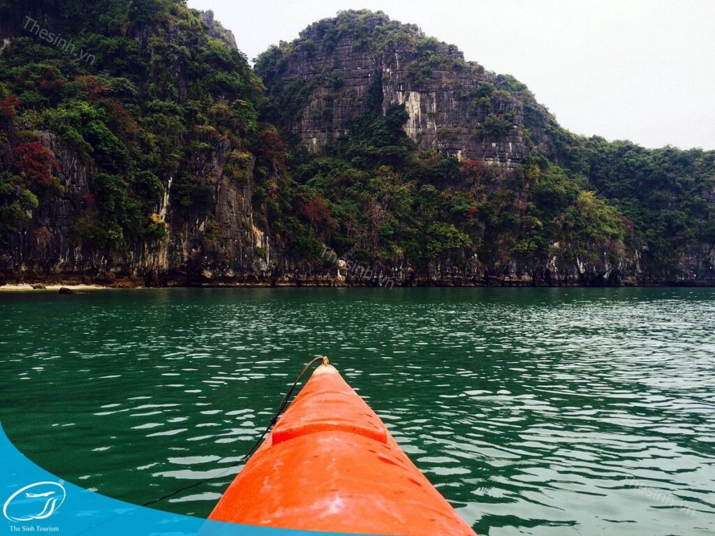 Du lịch Hạ Long 2 ngày 1 đêm giá rẻ - Bí kíp đi chơi thả ga mà không lo "đau ví"! 20 tour du lich ha long du lich the sinh 012 20240510 134634