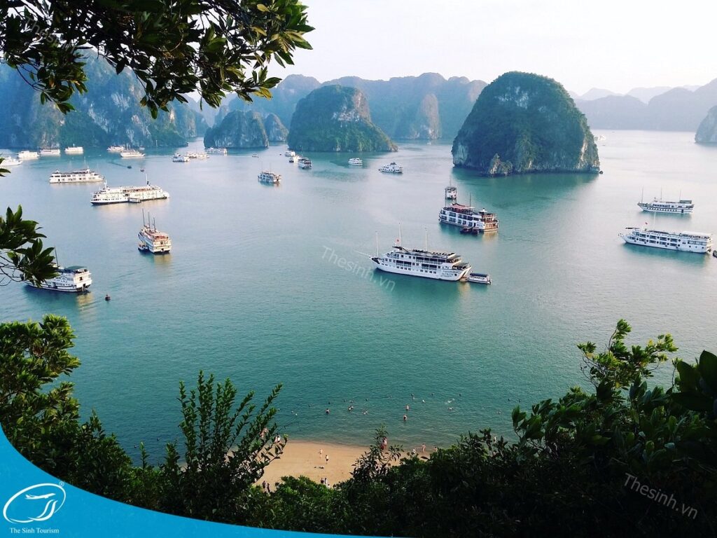 Du Thuyền Hạ Long 2 Ngày 1 Đêm – Trải Nghiệm Nghỉ Đêm Giữa Lòng Vịnh 18 Tour du thuyền Hạ Long