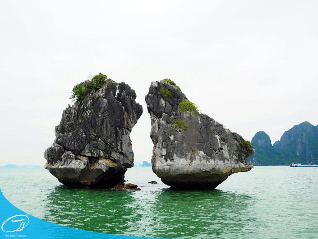Top 5 tour 2 ngày 1 đêm Hạ Long nổi bật từ The Sinh Tourist 8 tour du lich ha long du lich the sinh 018 20240510 134635