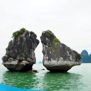 tour du lich ha long du lich the sinh 018 20240510 134635
