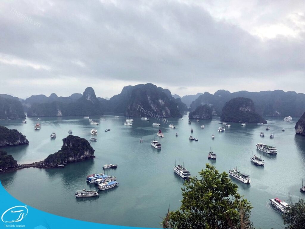 Những Câu Hỏi Thường Gặp Khi Đi Hạ Long 1 Ngày – Giải Đáp Chi Tiết Cho Người Mới 2 Đi Hạ Long 1 ngày cùng Thế Sinh Tourist