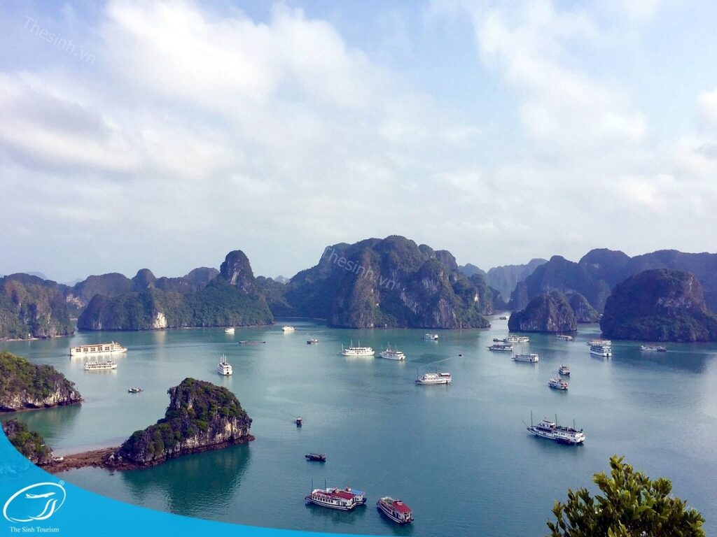 Tour Du Thuyền Hạ Long Trong Ngày Có Đáng Tiền Không? Một Travel Blogger Kể Bạn Nghe 7 Đặt tour du thuyền Hạ Long trong ngày cùng Thế Sinh Tourist
