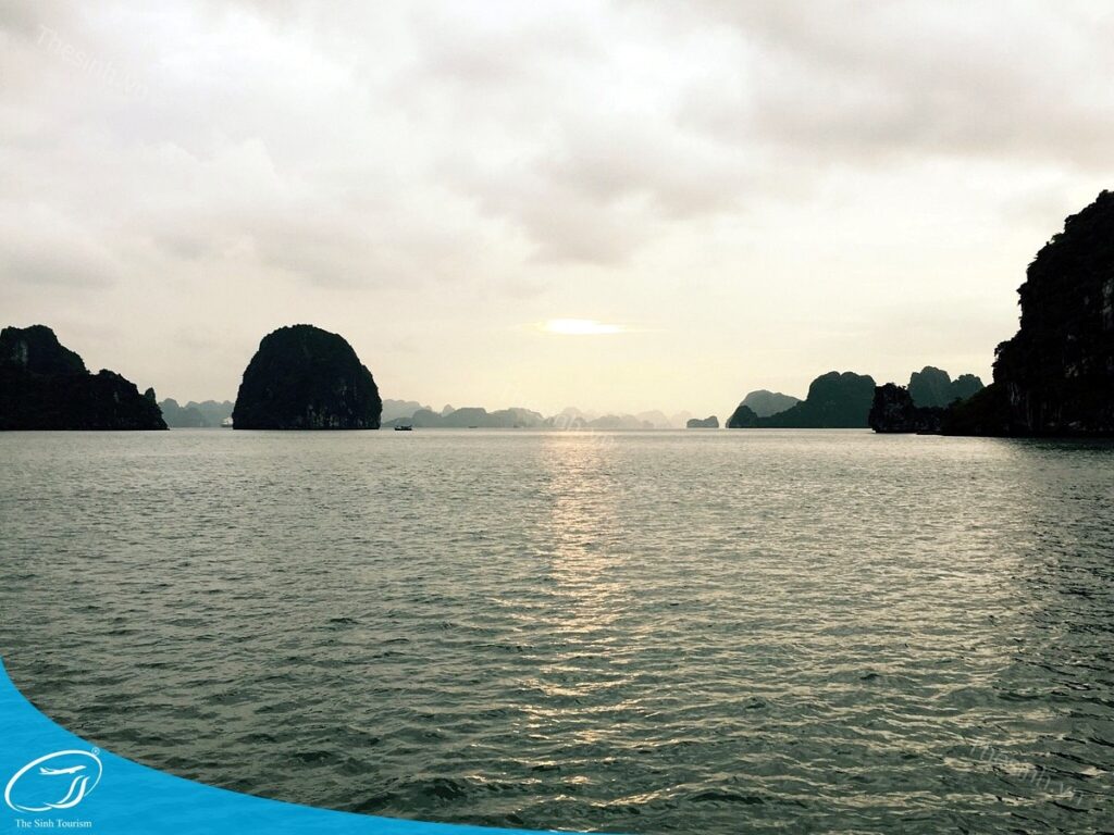 tour du lich ha long du lich the sinh 023 20240510 134635