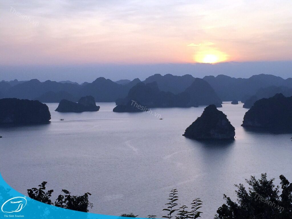 Tham khảo chi phí đi Hạ Long 3 ngày 2 đêm tại Thế Sinh Tourist
