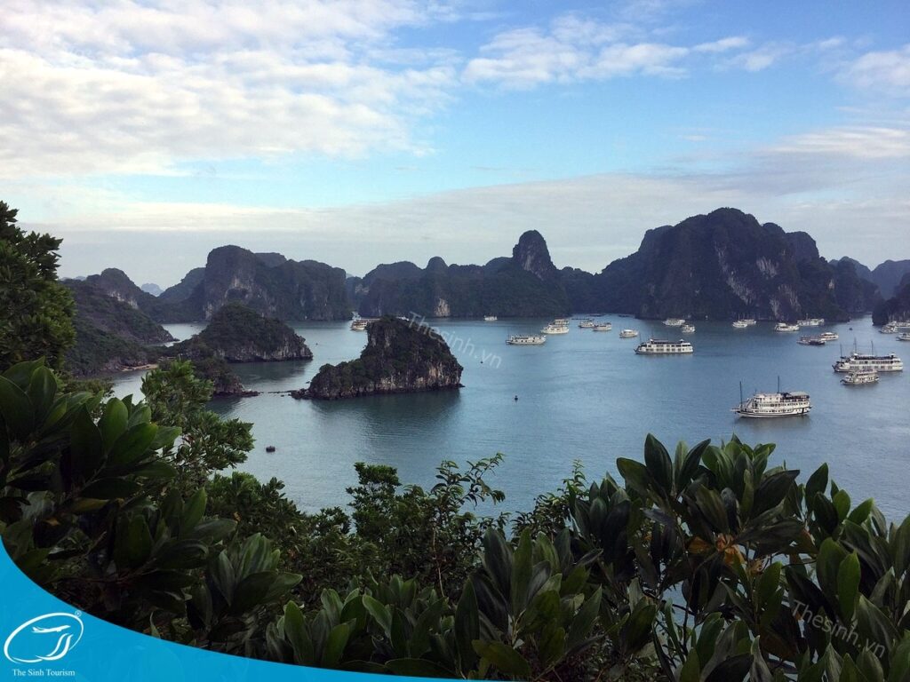 Đặt tour sinh viên combo Hạ Long 3 ngày 2 đêm cùng Thế Sinh Tourist