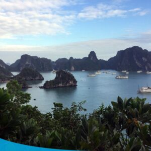 tour du lich ha long du lich the sinh 026 20240510 134635