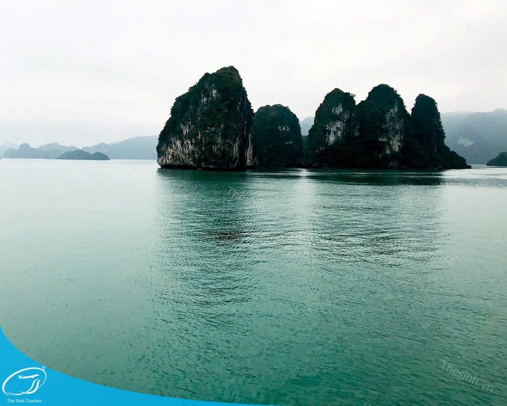 Combo Hạ Long 3 Ngày 2 Đêm – Giải Pháp Tiết Kiệm Cho Nhóm Bạn Hoặc Cặp Đôi 2 Du lịch Hạ Long 3 ngày 2 đêm cùng Thế Sinh Tourist