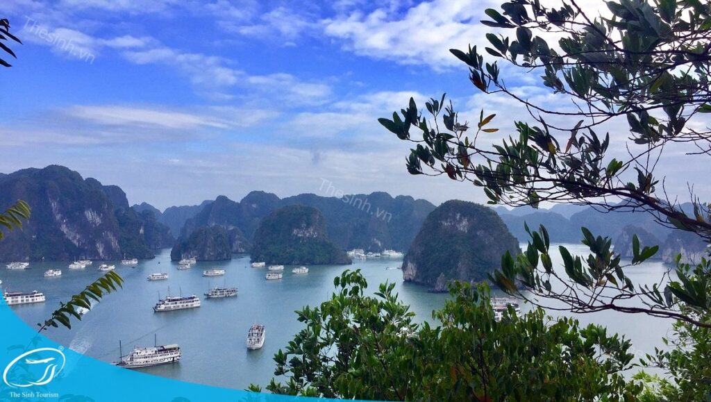 Kinh Nghiệm Du Lịch Hạ Long - Bí Kíp Để Có Chuyến Đi Hoàn Hảo 19 Kinh nghiệm du lịch Hạ long - Đi du lịch Hạ Long cùng Thế Sinh Tourist