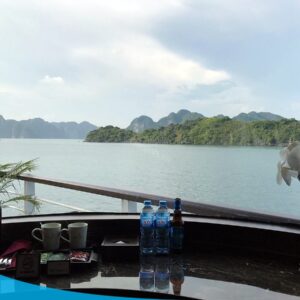 tour du lich ha long du lich the sinh 031 20240510 134635