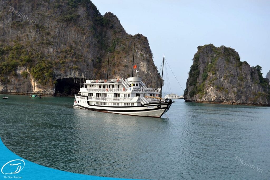 Du lịch Hạ Long trong ngày – Gợi ý lịch trình tự túc & chọn tour phù hợp ngân sách 23 tour du lich ha long du lich the sinh 033 20240510 134635