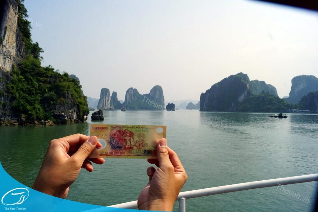 Đi Hạ Long 1 Ngày – Nên Chọn Du Thuyền 3 Sao, 4 Sao Hay 5 Sao? 8 Đi tour Hạ Long 1 ngày cùng Thế Sinh
