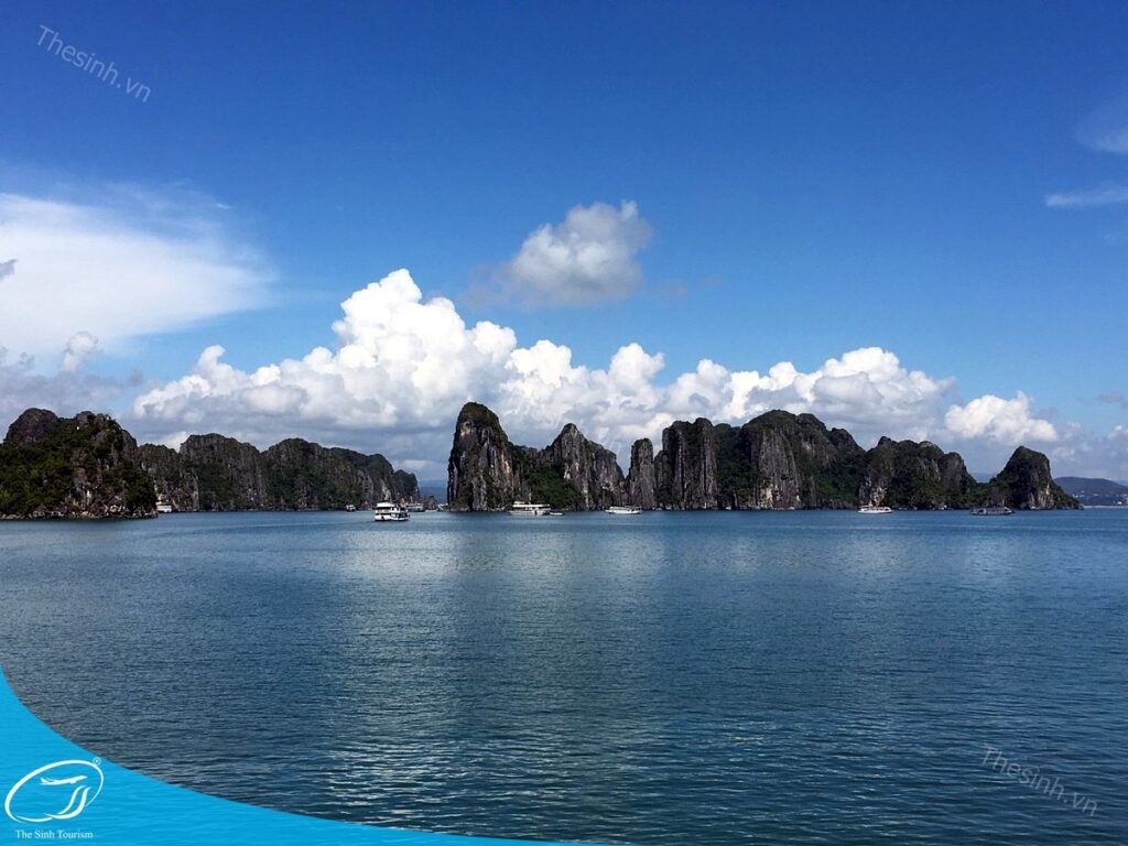Top 5 tour 2 ngày 1 đêm Hạ Long nổi bật từ The Sinh Tourist 7 Đi tour 2 ngày 1 đêm Hạ Long cùng Thế Sinh Tourist