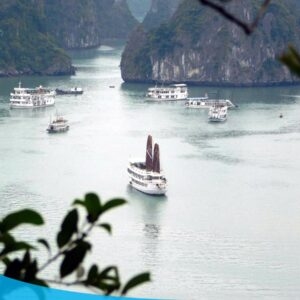 tour du lich ha long du lich the sinh dao titop 001 20240510 134855