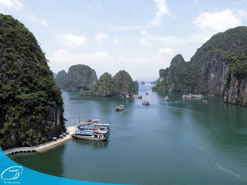 Đi Hạ Long 2 ngày 1 đêm cùng gia đình - Trọn vẹn mà không mệt! 7 Đặt tour du thuyền Hạ Long trong ngày cùng Thế Sinh Tourist