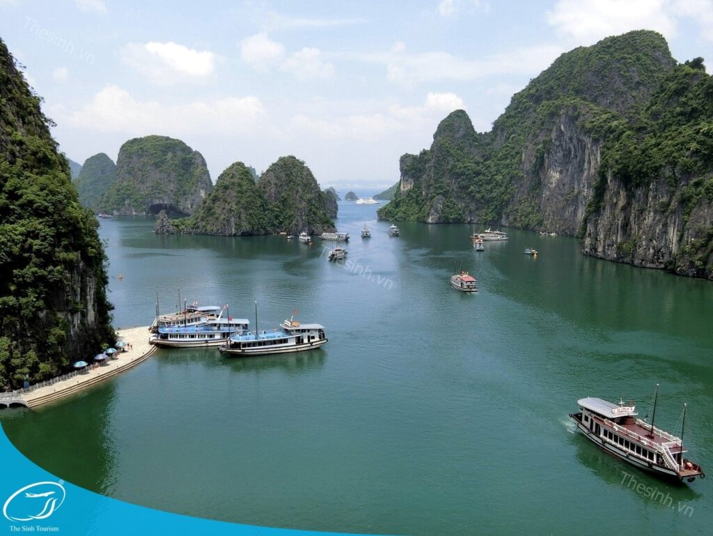 Du Lịch Hạ Long 1 Ngày Có Gì Đặc Biệt? 10 Lý Do Khiến Bạn Không Thể Bỏ Lỡ! 2 Du lịch Hạ Long 1 ngày cùng Thế Sinh Tourist