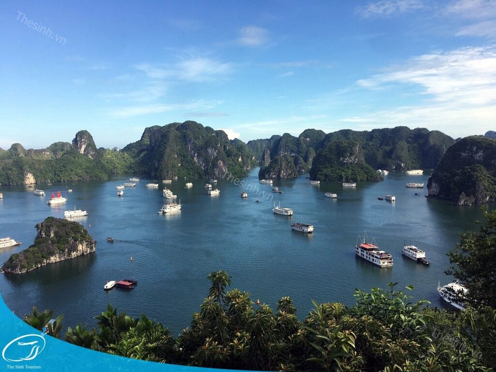 Khám Phá Hạ Long 2 Ngày 1 Đêm - Hành Trình Trọn Vẹn Giữa Vịnh Biển Kỳ Vĩ và Phố Đêm Sôi Động 2 Du lịch Hạ Long 2 ngày 1 đêm cùng Thế Sinh Tourist