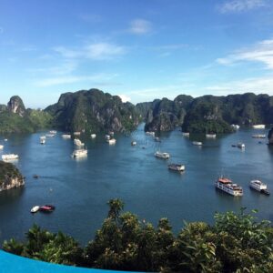 tour du lich ha long du lich the sinh dao titop 010 20240510 134856