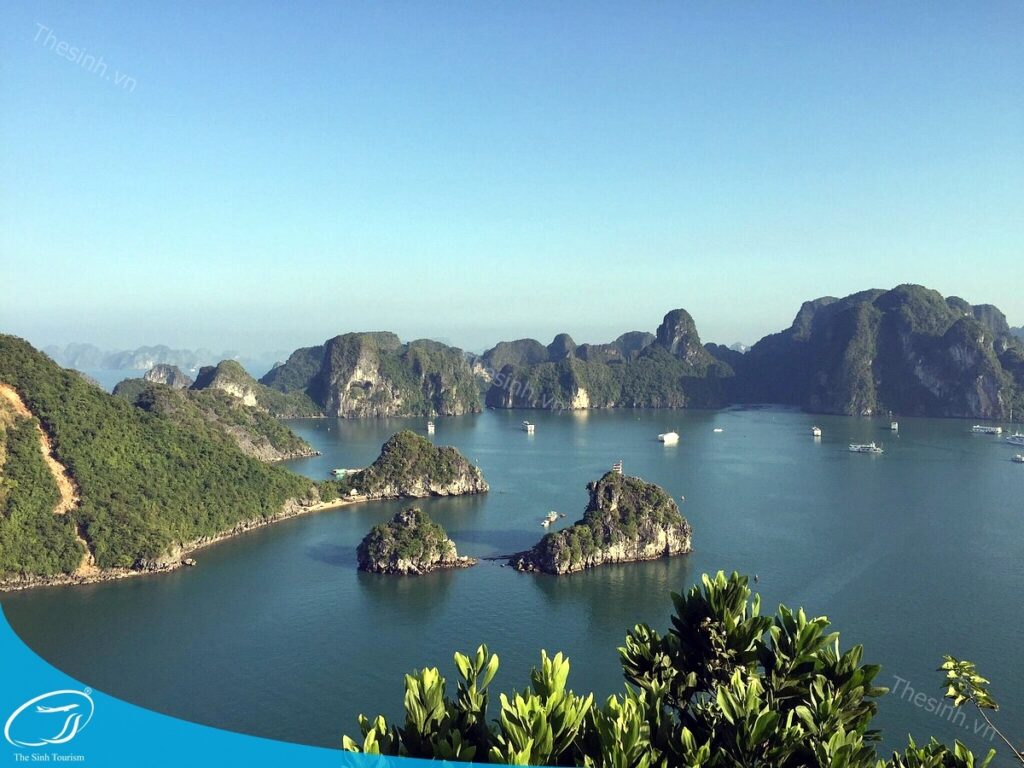 Tour Du Thuyền Hạ Long Trong Ngày Có Đáng Tiền Không? Một Travel Blogger Kể Bạn Nghe 18 Du thuyền Hạ Long trong ngày cùng Thế Sinh Tourist