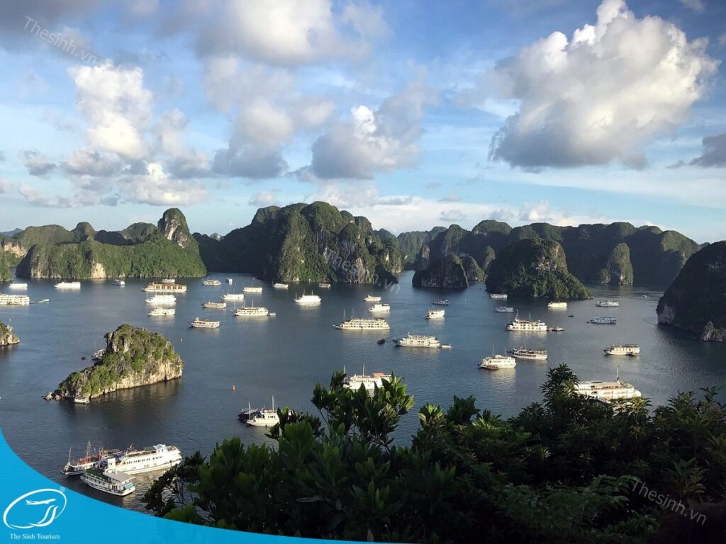 Du lịch Hạ Long trong ngày – Gợi ý lịch trình tự túc & chọn tour phù hợp ngân sách 13 Du lịch Hạ Long trong ngày cùng thesinh.vn