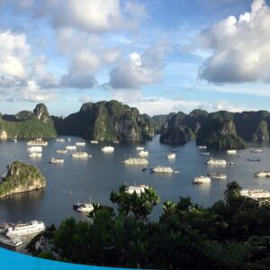 tour du lich ha long du lich the sinh dao titop 012 20240510 134856