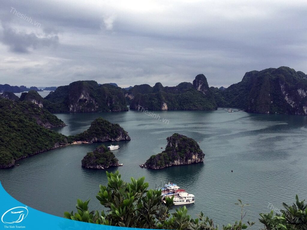 Top 5 tour 2 ngày 1 đêm Hạ Long nổi bật từ The Sinh Tourist 18 Đặt tour du lịch Hạ Long 1 ngày cùng Thế Sinh Tourist