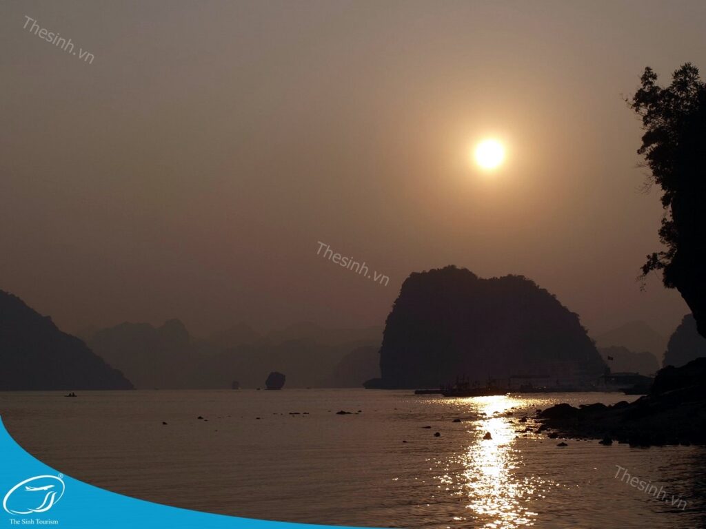 tour du lich ha long du lich the sinh dao titop 015 20240510 134856