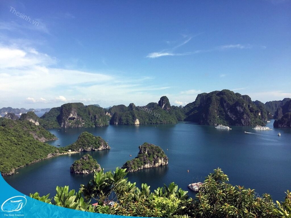 Du lịch Hạ Long trong ngày – Gợi ý lịch trình tự túc & chọn tour phù hợp ngân sách 2 Du lịch Hạ Long trong ngày cùng thesinh.vn