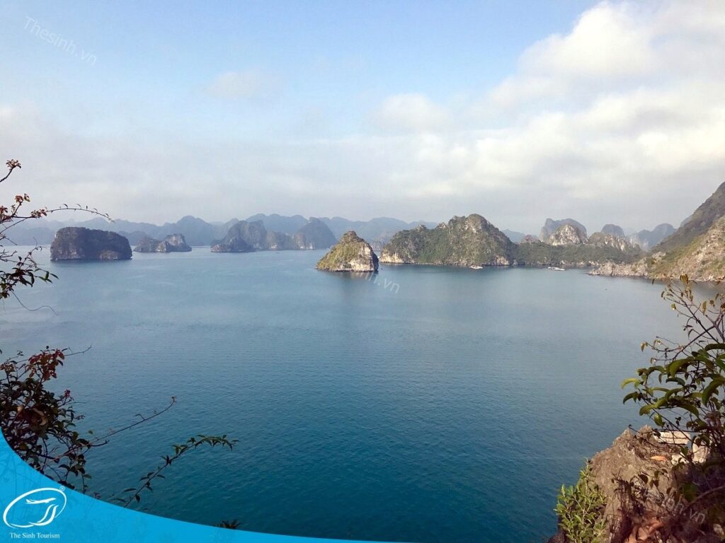 Tour Hạ Long 3 ngày 2 đêm giá tốt nhất tại The Sinh Tourist: Trải nghiệm đẳng cấp – Chi phí rõ ràng 8 Đi tour Hạ Long 1 ngày cùng Thế Sinh Tourist