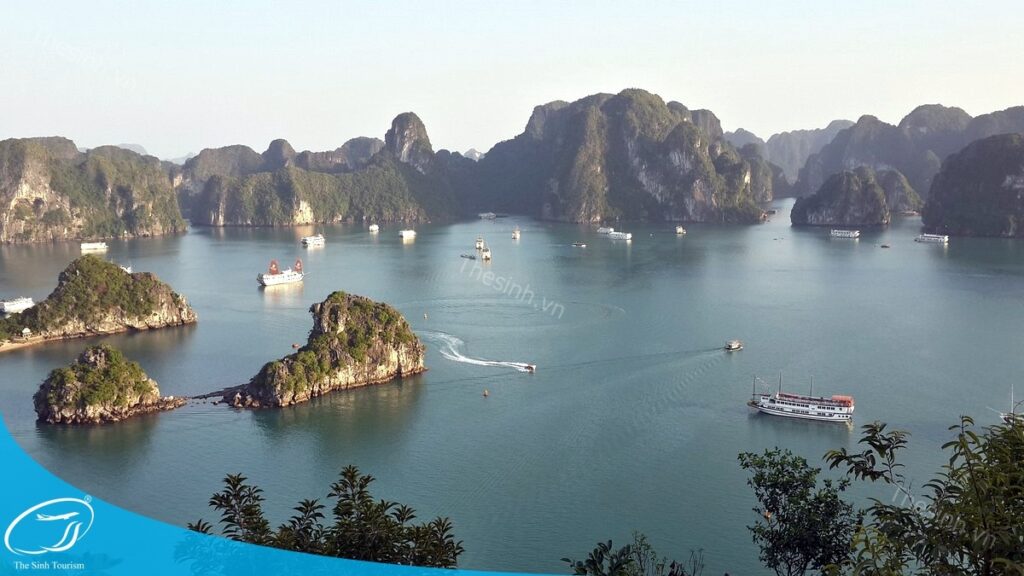 Vì sao nên chọn tour Hà Nội Hạ Long 1 ngày? Góc nhìn từ người từng trải nghiệm 14 Tour Hà Nội Hạ Long 1 ngày - Yên tâm đặt tour với Thế Sinh Tourist