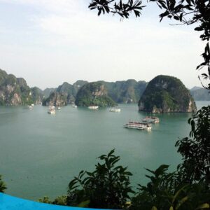 tour du lich ha long du lich the sinh dao titop 021 20240510 134856