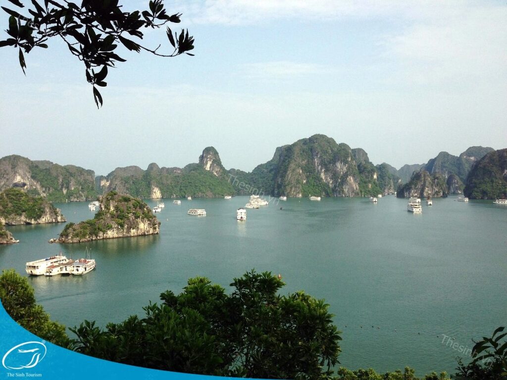 Giải đáp từ A đến Z về tour Hạ Long 2 ngày 1 đêm: Bạn cần biết gì trước khi đặt tour ? 2 Đặt tour Hạ Long 2 ngày 1 đêm cùng Thế Sinh Tourist